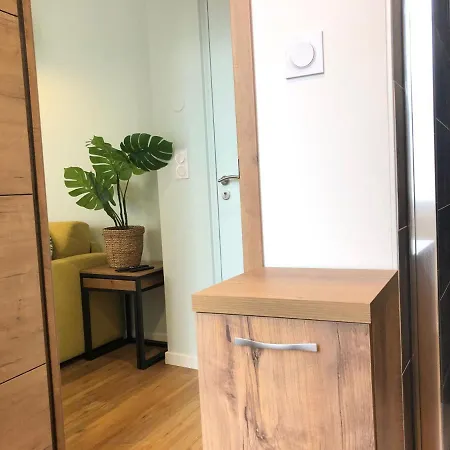 Monstera By Welk'home - Premium - Centre